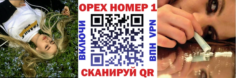 KRAKEN сайт  Моздок  Кокаин Эквадор 