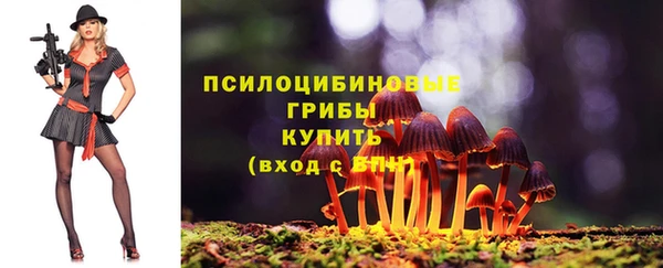 трава Аркадак