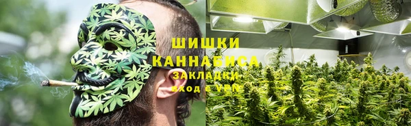 трава Аркадак