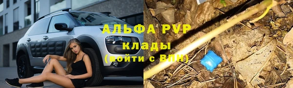 трава Аркадак