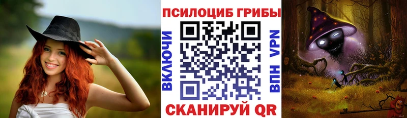 мега как войти  Моздок  Галлюциногенные грибы прущие грибы  дарнет шоп 