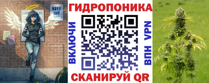 Бошки марихуана индика  Моздок 